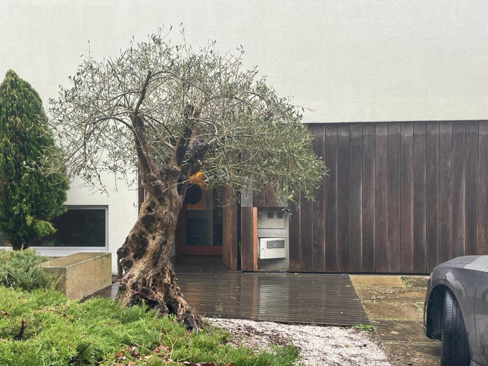 Gloria'S Design House Santiago de Compostela Exterior foto